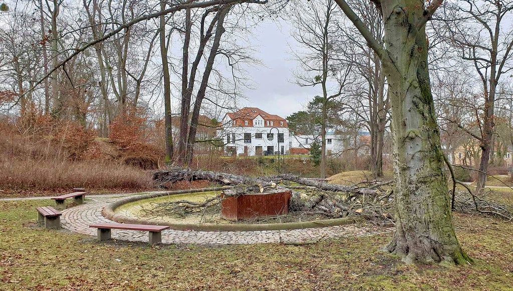 Durch Sturm „Nadja“ war am 29. Januar unter anderem der Brunnen im Bürgergarten stark beschädigt worden. Auch um derlei zu vermeiden, finden noch bis Ende dieses Monats Baumpflegearbeiten im Naumburger Stadtgebiet statt. Dabei wird Totholz entfernt; gegebenenfalls werden Bäume gefällt.