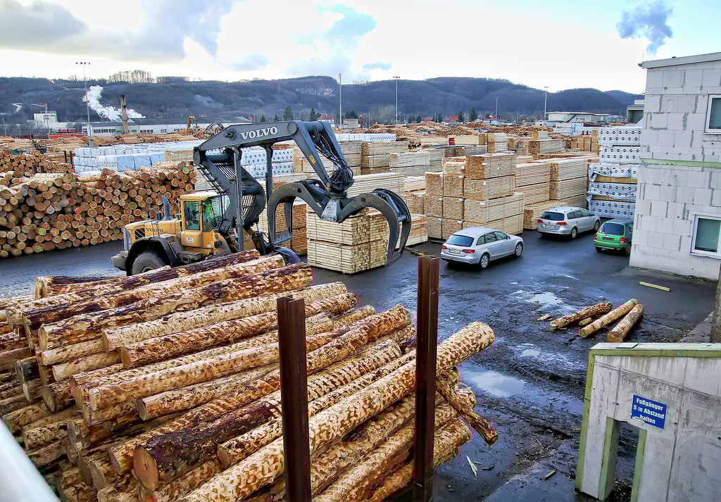 Schon heute ist Holz ein Wirtschaftsfaktor in Mansfeld-Südharz, hier auf dem Gelände der Firma Ante. Insgesamt hat der Kreis 40.000 Hektar Wald.