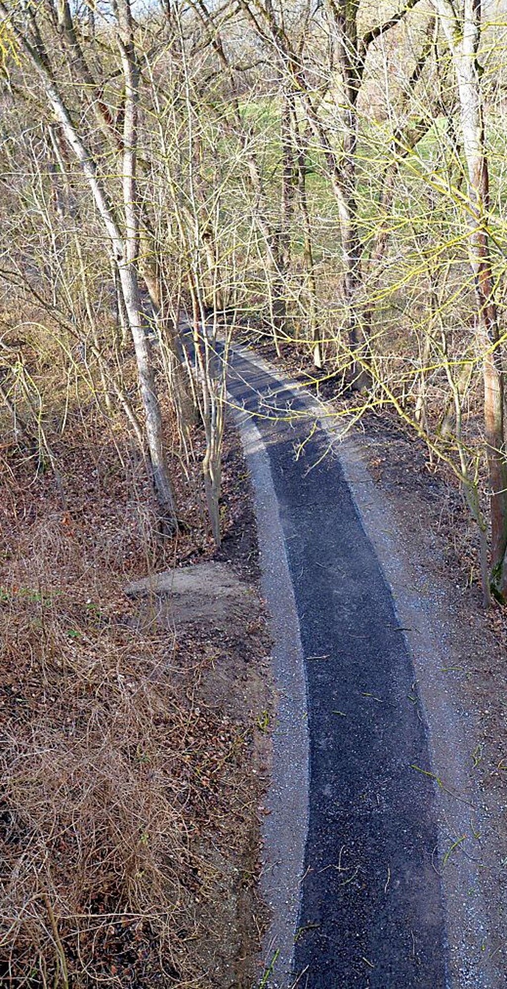 Der Radweg zwischen Schloss Hohenerxleben und ehemaliger Kanonenbahn-Brücke ist bereits asphaltiert. Aber...