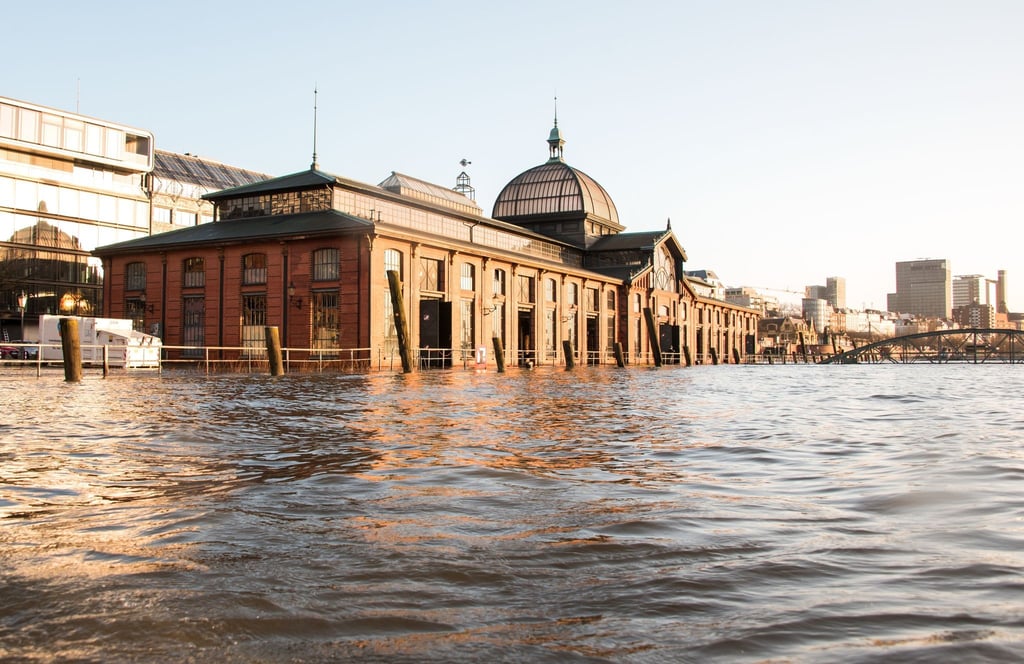 Nah am Wasser gebaut: Die Fischauktionshalle wird regelmäßig vom Hochwasser der Elbe überflutet.