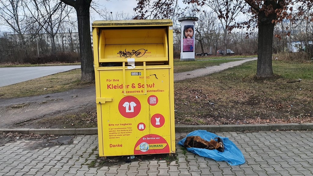 In diesem Altkleidercontainer in Neustadt wurde der Kadaver eines Kamerunschafs gefunden.