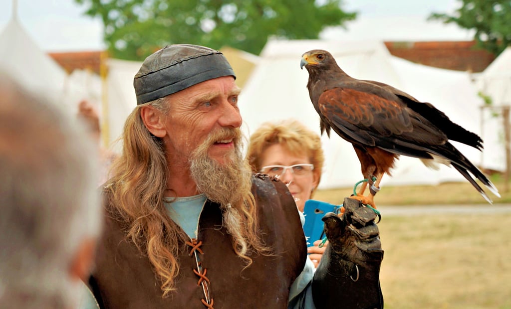 Falkner Deimos bei einem vergangenen Klostergartenfest in Jerichow.