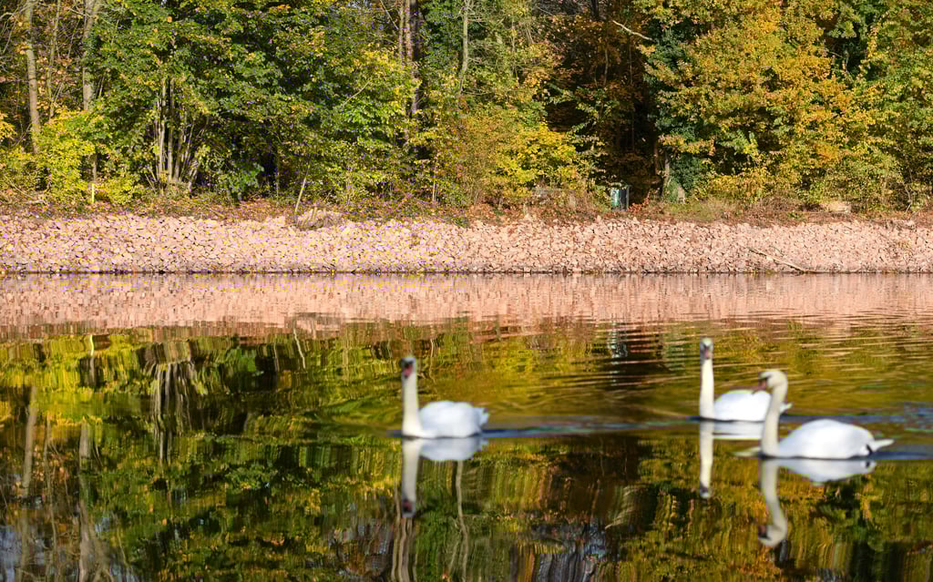 Blick auf das zugeschüttete Ufer der Saale auf der Peißnitz gegenüber der Ziegelwiese.