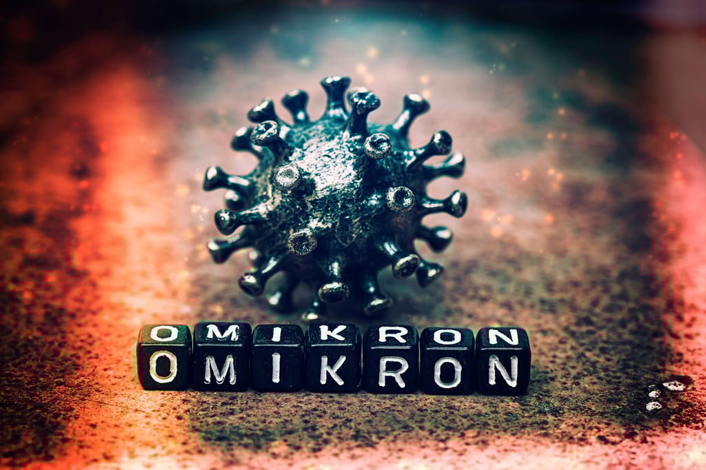 Die Virusvariante Omikron dominiert derzeit auch in Magdeburg