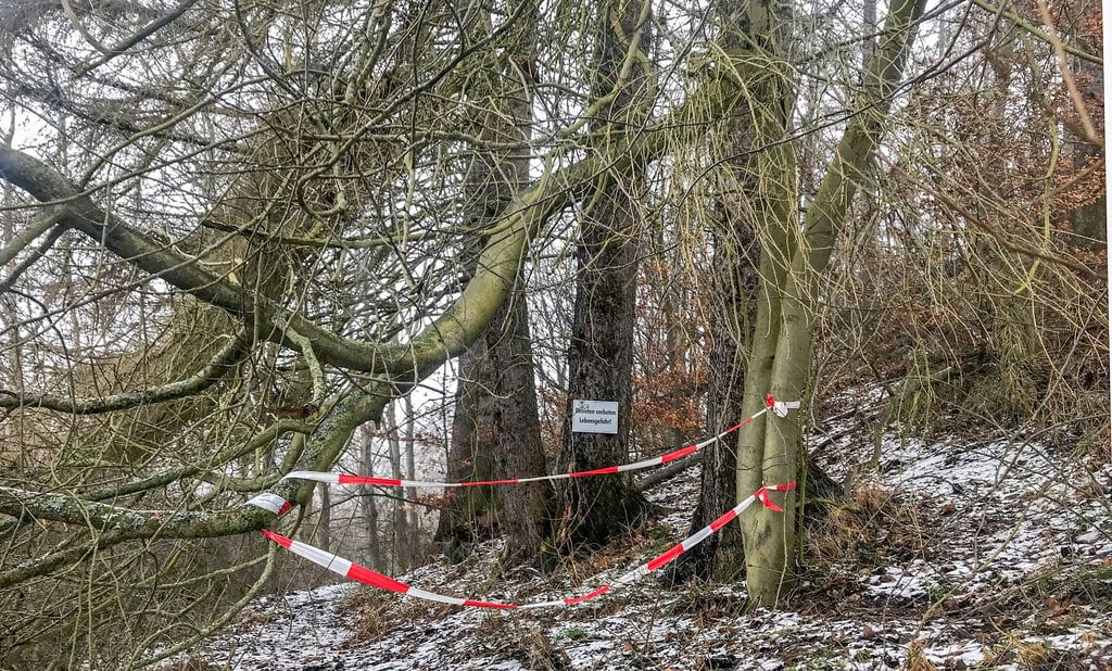 „Betreten verboten. Lebensgefahr!“ heißt es am Zugang zum Hegemeister-Meyer-Steg bei Allrode.