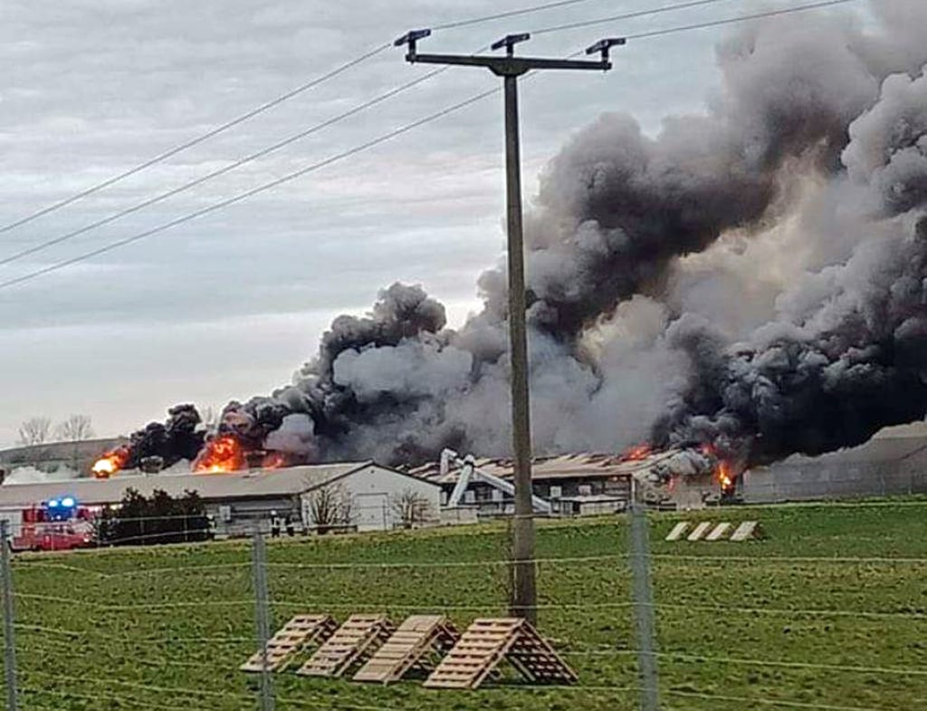 Dicke Rauchwolken zeugen von der schwierigen Einsatzlage am Donnerstagnachmittag auf dem Eierhof in Wackersleben. Der Stall brannte komplett aus, 12000 Legehennen verendeten.