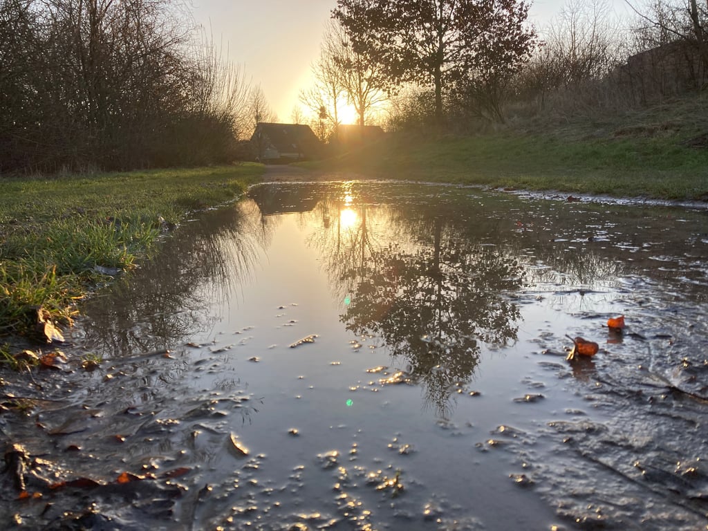 Die unbefestigten Wege im Grünzug im Magdeburger Stadtteil Hopfengarten sind bei Regenwetter kaum nutzbar.