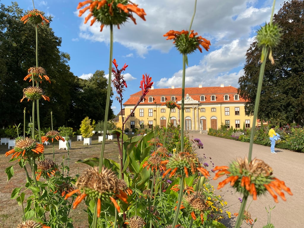 Schloß Mosigkau