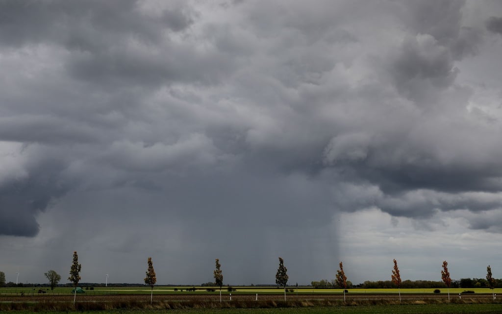 Ein Regenschauer zieht über ein Feld hinweg.