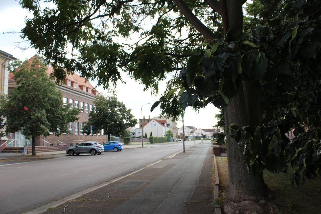 Die Sparkassen-Filiale in der Bitterfelder Lindenstraße.