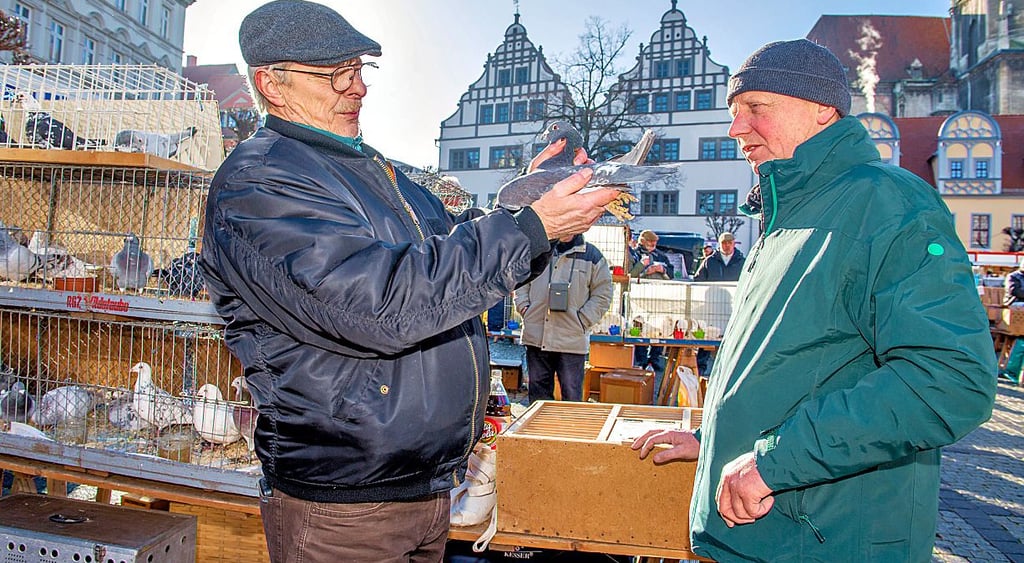 Reiner Linde (r.) aus Wernigerode verkauft auf dem Naumburger Taubenmarkt an Heiko Donner (l.) aus Hildesheim Schönheitsbrieftauben.