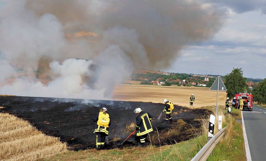 Mehrere Ackerbrände, wie hier an der Landesstraße  nach Osterwieck, haben vergangenes Jahr die Lüttgenröder Feuerwehrleute, aber auch Einsatzkräfte aus dem Umland, in Atem gehalten. 
