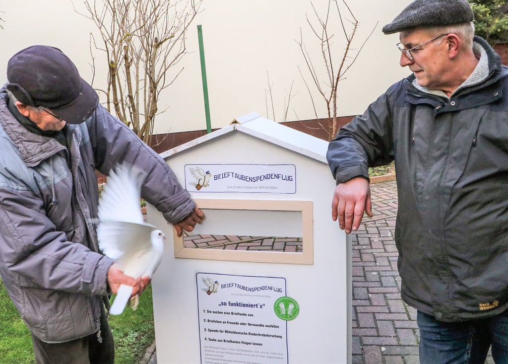 So funktioniert es: Die Tauben werden in den hinten offenen Spendenflug-Briefkasten gesteckt und starten Richtung Heimatschlag. Horst Meißner (links) und Wilfried Rößler zeigen das in Bethau.