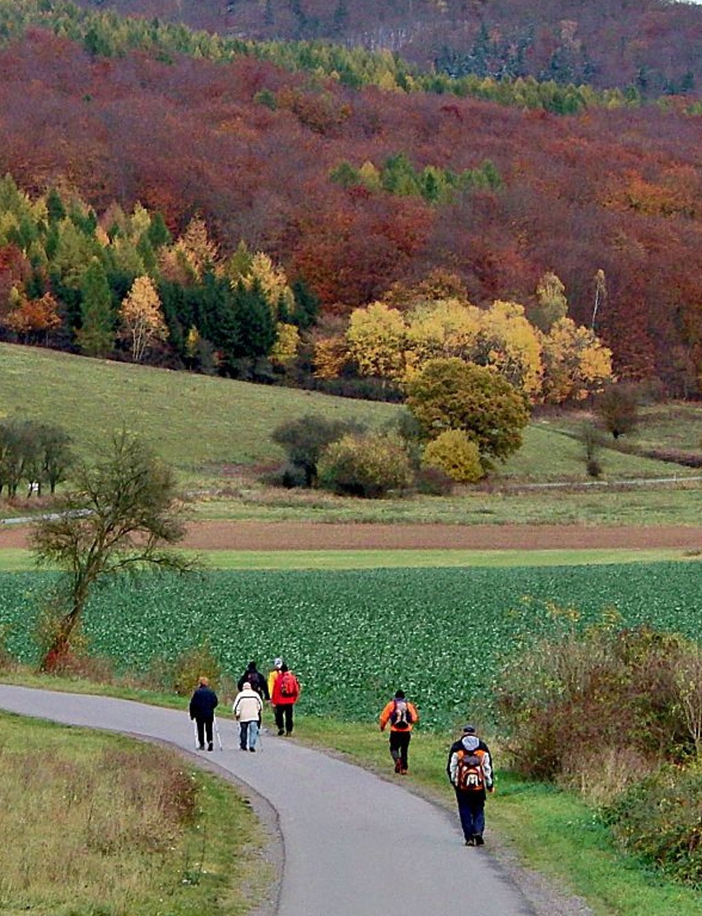 Bild aus dem Jahr 2012: Wanderer beim 100-Kilometer-Lauf durch Mansfeld-Südharz.