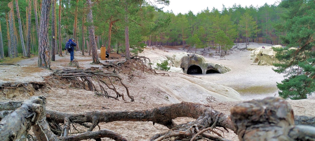 Die Sandhöhlen im Heers gelten als eines der beliebtesten Wanderziele in der Umgebung von Blankenburg. Doch mit dem Massentourismus, der während der Corona-Pandemie am Regenstein zugenommen hat, droht dem Naturdenkmal Gefahr.