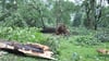 Der Magdeburger Zoo schließt am 17. Februar 2022 aufgrund des erwarteten Unwetters. 2017 wurde der Zoo bei einem Sturm verwüstet.