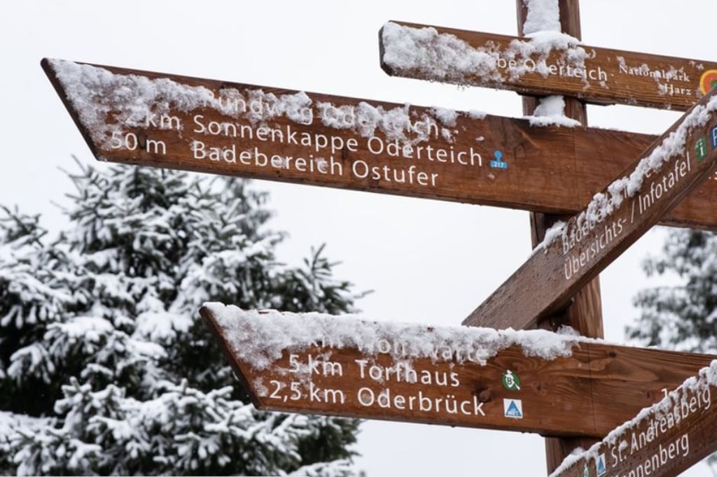 Im Harz gibt es viel zu erleben. Wir zeigen wann, wo und wie.