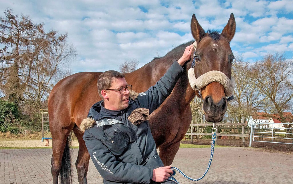 Glückliche Wiedervereinigung: Pferd Samba Me mit seinem Besitzer Daniel Förster.