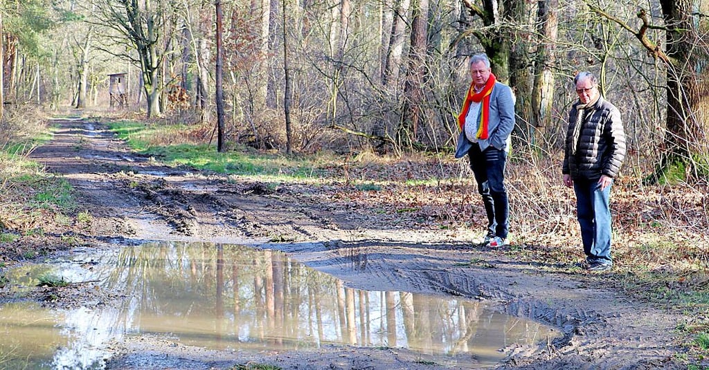 So sieht der Pabsdorfer Weg nicht nur an dieser Stelle aus.