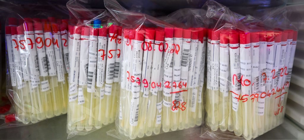 PCR-Tests einem im Labor.