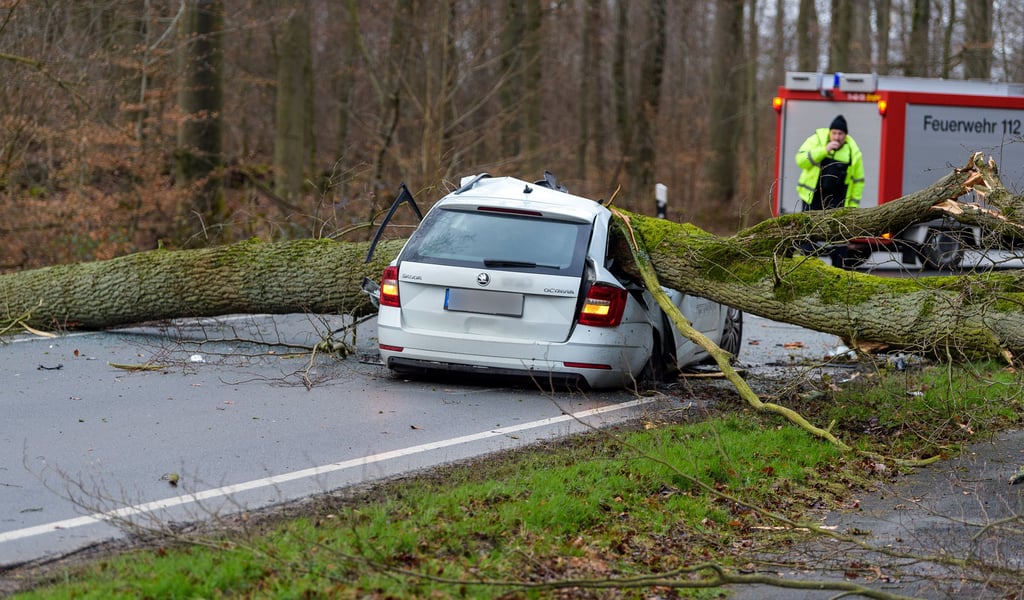 Ein 37 Jahre alter Mann ist in seinem Auto in Niedersachsen Opfer des Orkantiefs "Ylenia" geworden.