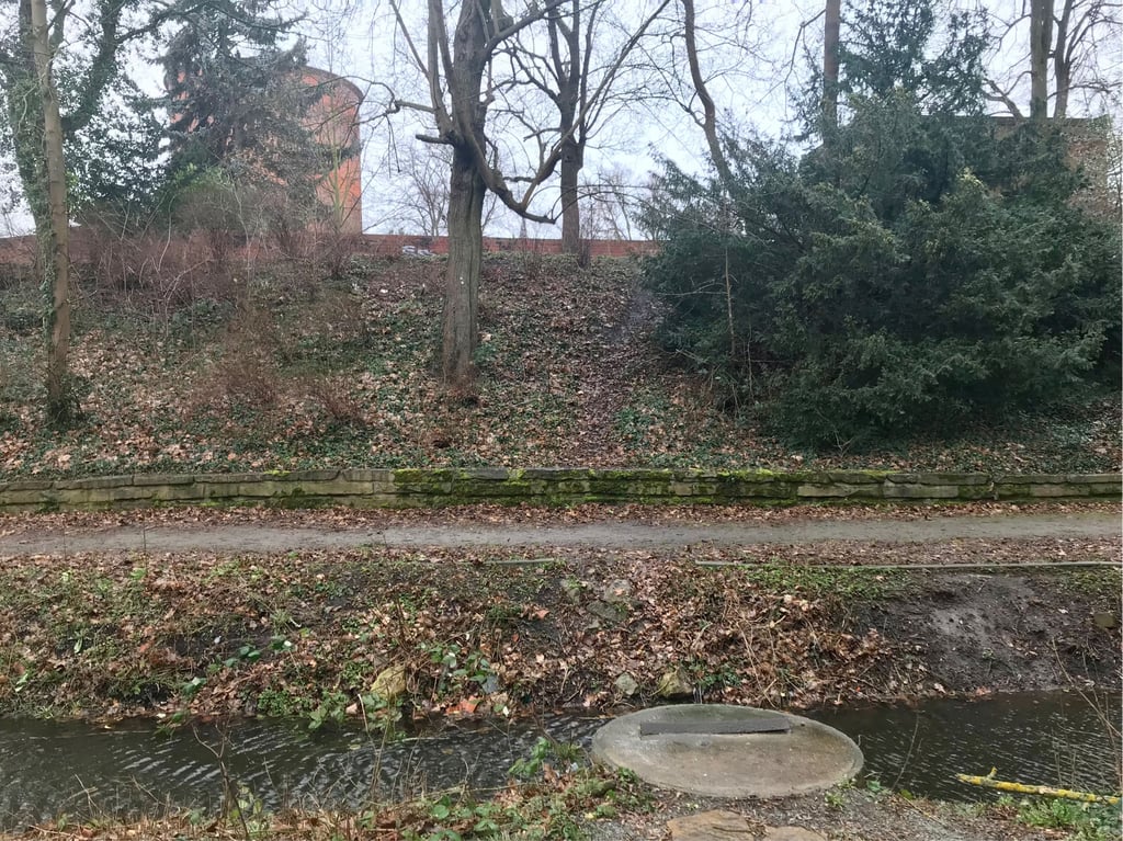 Die Rückseite vom Burggarten: Das Bild könnte sich bald ändern.