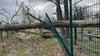 Sturmschaden im Wildpark Weißewarte: Etliche Bäume lagen am Donnerstag auf den Zäunen der Anlage.