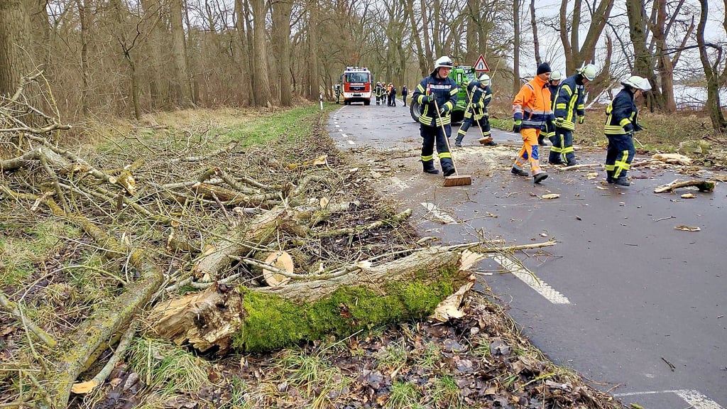 Zweimal musste die Ortswehr Havelberg im Mühlenholz umgestürzte Bäume von der Straße räumen. Hier gegen 10.20 Uhr.