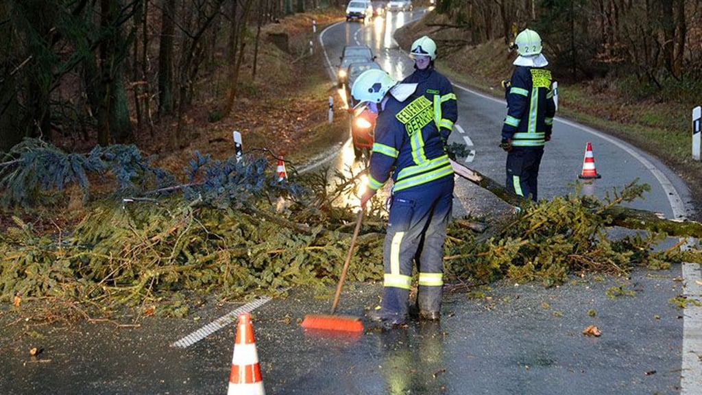 Bei Gernrode war ein Baum umgekippt, seine Spitze blieb in einem anderen hängen. 