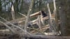 Aufgrund des Sturms "Ylenia" gab es am Donnerstag zahlreiche umgestürzte Bäume im Landkreis Mansfeld-Südharz. 
