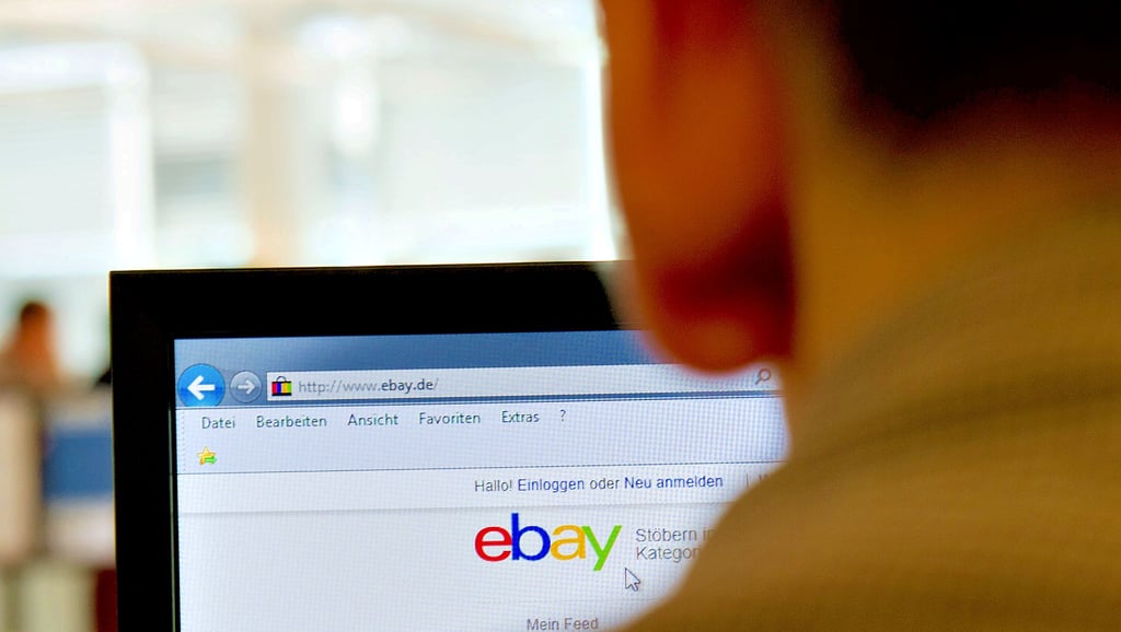 Während des heißen Sommers 2018 soll der Angeklagte Zlatko M. hunderte Leute über ebay abgezockt haben – mit einer Scheinfirma in Bernburg.