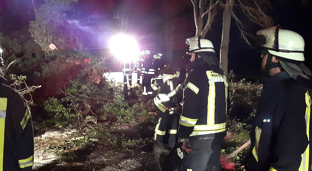 Zahlreiche umgestürzte Bäume: Wegen Sturmtief Ylenia mussten die freiwilligen Feuerwehren in der Einheitsgemeinde, wie hier in Weferlingen, in der vergangenen Nacht mehrfach ausrücken.