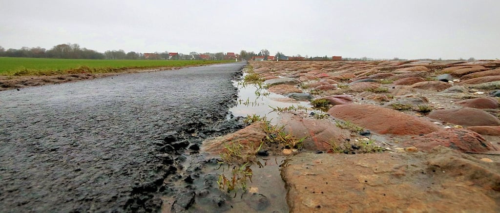 Bei Niederlepte wurde im vergangenen Jahr der Sommerweg befestigt. Allerdings staute sich jetzt das Wasser am Rand zwischen Pflaster und Asphalt.