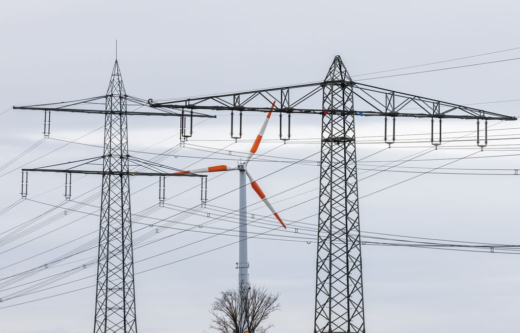 Im Salzlandkreis wurde eine Freileitung der Starkstromtrasse beantragt. Ob diese genehmigt wird, entscheidet sich im Jahr 2023.