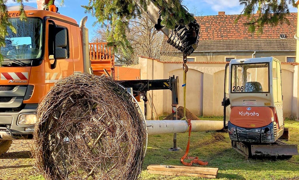 Das neue Storchennest wurde zuerst auf dem Mast festgemacht und dieser schließlich mit entsprechender Technik hingestellt.