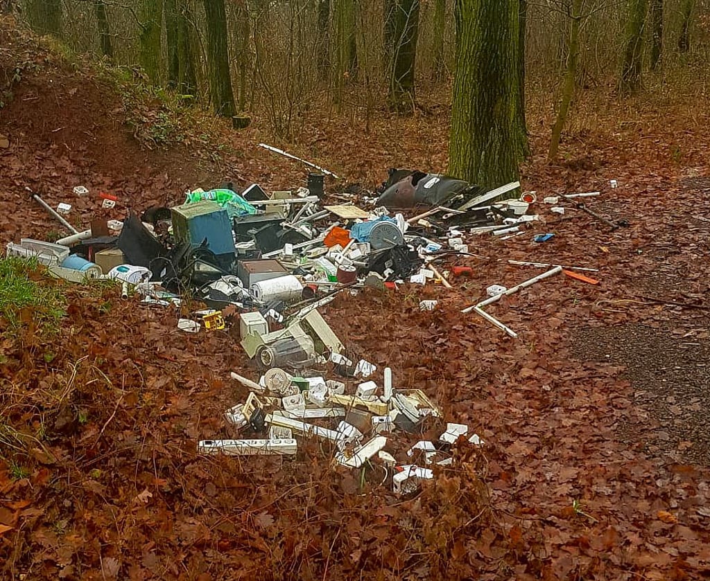 Unbekannte haben im Wald bei Wetterzeube Elektroschrott abgekippt.