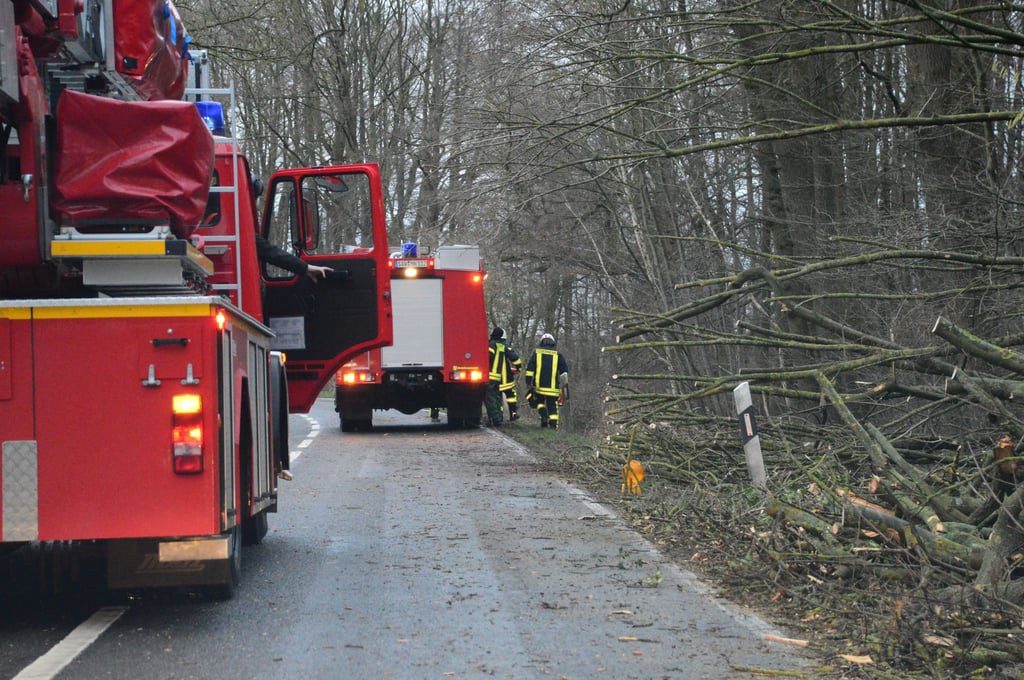 Auf der Straße in Richtung Neuendorf am Damm musste die Wehr mindestens drei Mal anrücken. Die Bäume im kleinen Wäldchen krachten immer wieder auf die Landstraße.