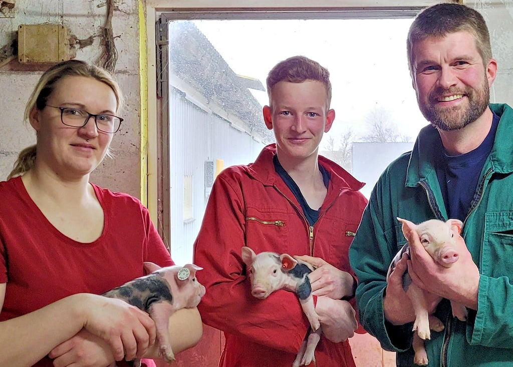 Elisa Jensch (von links), Yves Buhrau und Paul Kruse sorgen in der Sauenhaltung Tornitz für die Aufzucht der Ferkel.