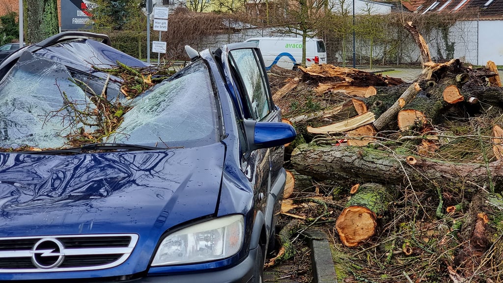 Stum Zeynep hat auch in Salzwedel mächtig gewütet. Ein Auto ist in der Nacht auf dem Parkplatz vor dem Bahnhof in Salzwedel von einem Baum zerschmettert worden.