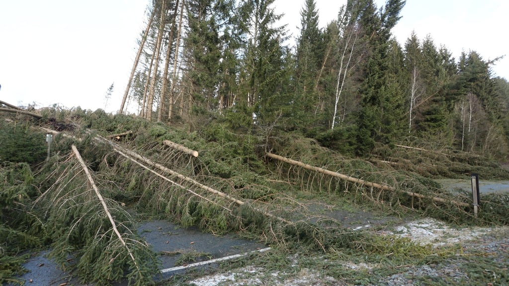 Im Harz liegen zahlreiche Bäume auf einer Straße.