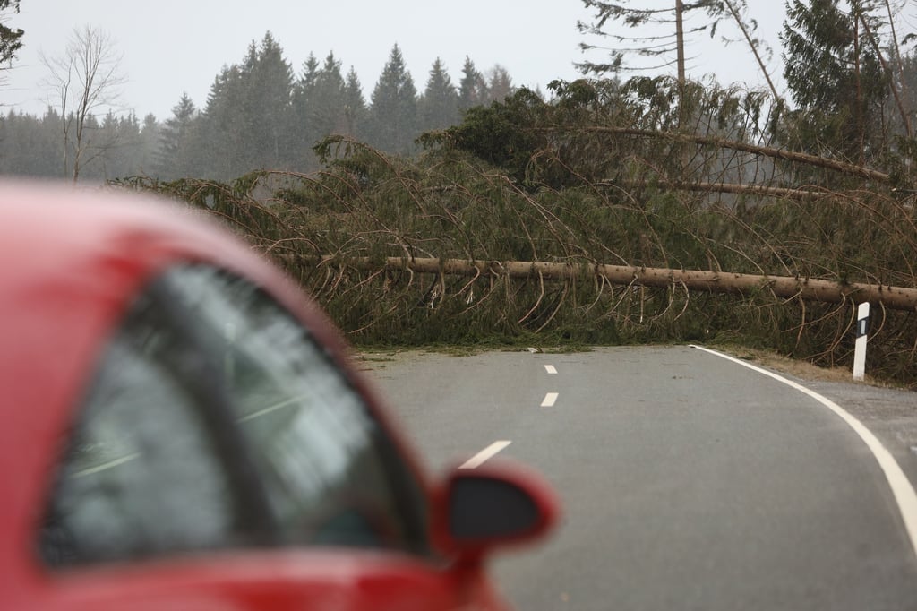 Zu mehreren Verkehrsunfälle ist es am Freitagabend (18. Februar) und am Samstag (19. Februar) aufgrund des Sturms gekommen. Ein Baum stürzte auf ein Auto.
