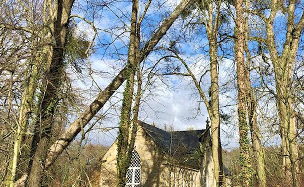 Nahe der Orangerie im Harbker Schlosspark ist eine Ulme gekippt und hängt nun auf halber Höhe. Der Bereich bleibt bis zur Beräumung gesperrt.