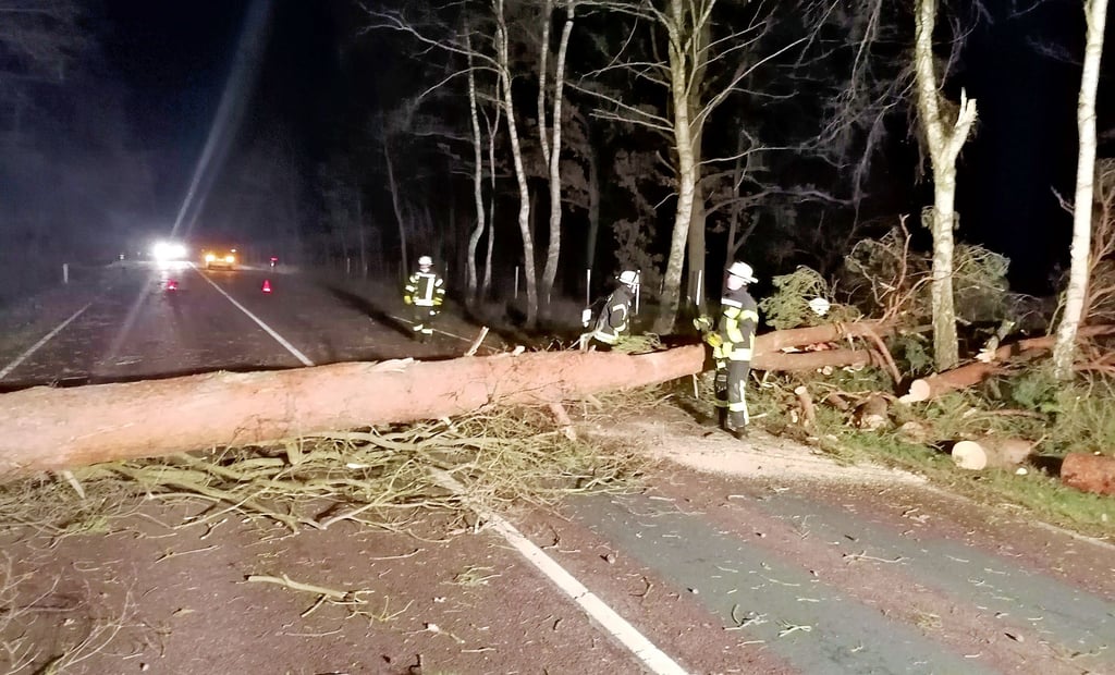 Überwiegend wegen Bäumen auf der Straße mussten die Feuerwehren in den Ortschaften zu Einsätzen ausrücken.