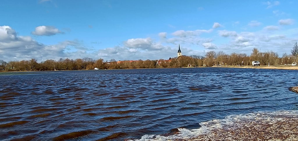 Die Bode ist bei Ditfurt übergelaufen und hat die Fläche neben der Kreisstraße in einen riesigen See verwandelt.