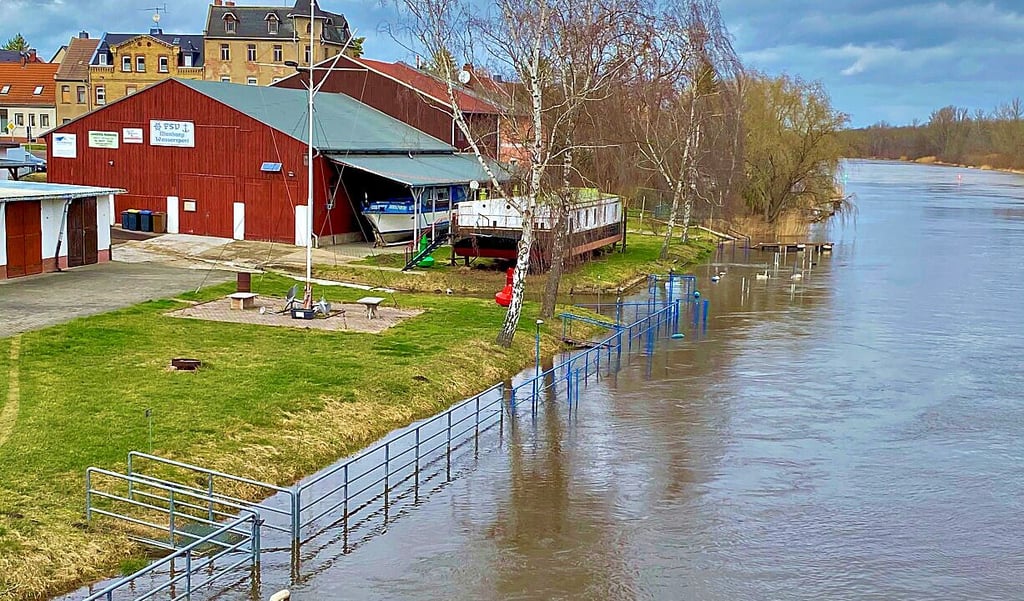 Die Bode führt an der Mündung in Nienburg bereits viel Wasser. Für die kommenden Tage sind noch leicht steigende Pegelstände zu erwarten.