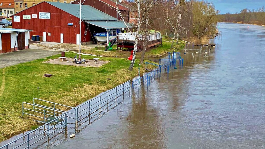 Die Bode führt an der Mündung in Nienburg bereits viel Wasser. Für die kommenden Tage sind noch leicht steigende Pegelstände zu erwarten.