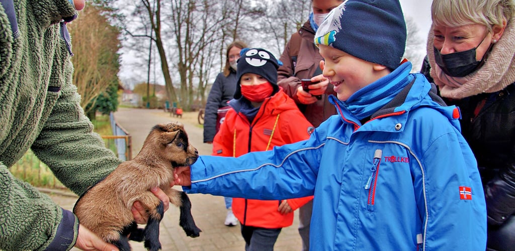 Jannis aus Stendal streichelt eine kleine Ziege im Tiergarten in Stendal.