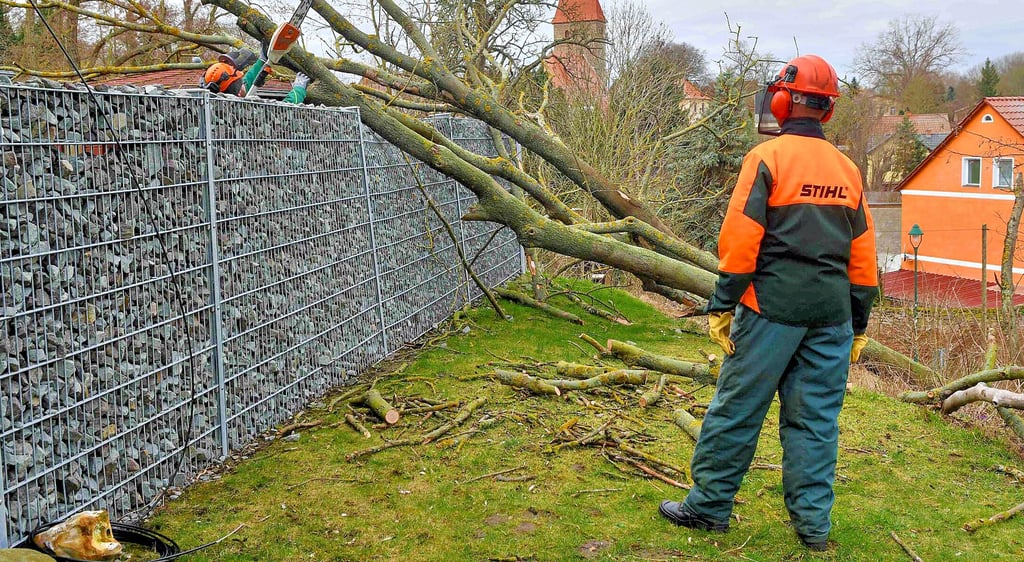 Dieser umgestürzte Baum verfehlte in Gutenswegen nur um wenige Meter ein Einfamilienhaus. Mitarbeiter des Wirtschaftshofes beseitigten die Gefahr.