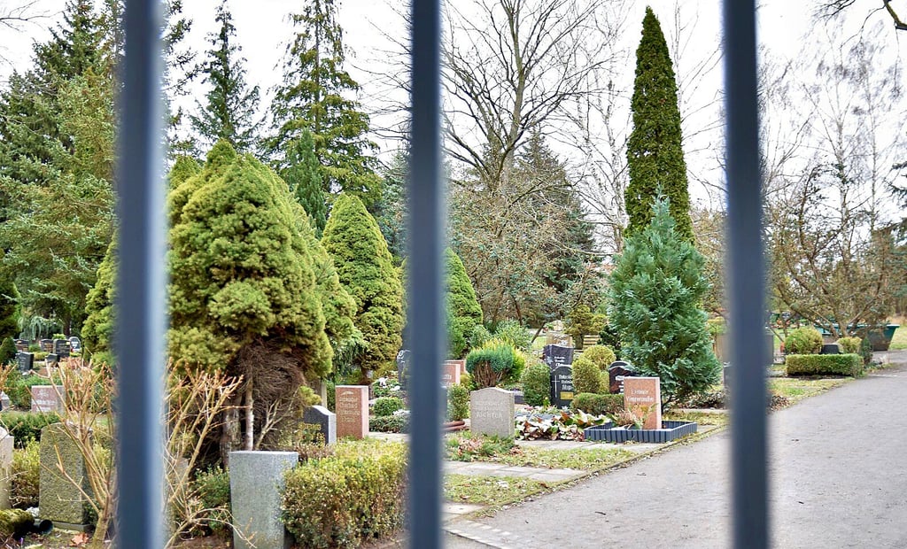 Die Einfriedung um den Ostfriedhof in Magdeburg ist intakt und massiv. Ein Grund, warum die Rehe nicht mehr herauskommen könnten.