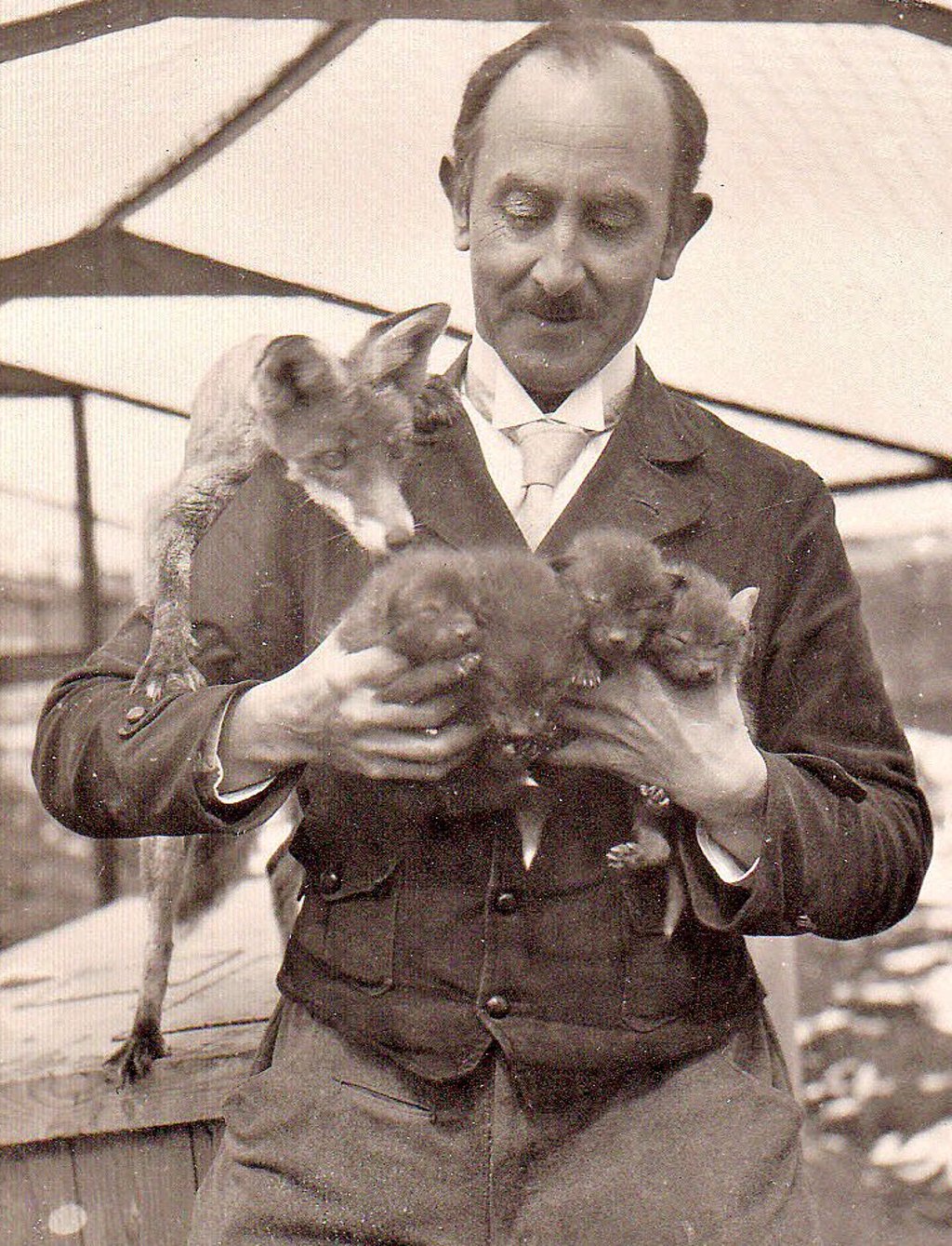 Richard Steinicke gründet vor fast 100 Jahren in der Nähe von Benneckenstein eine Fuchsfarm. Das Unternehmen war höchst ungewöhnlich, die Zucht der Tiere kostpielig. 